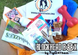 Blockhead Dog Box