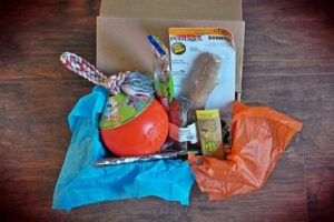 Bullymake Box Dog Subscription Box Review