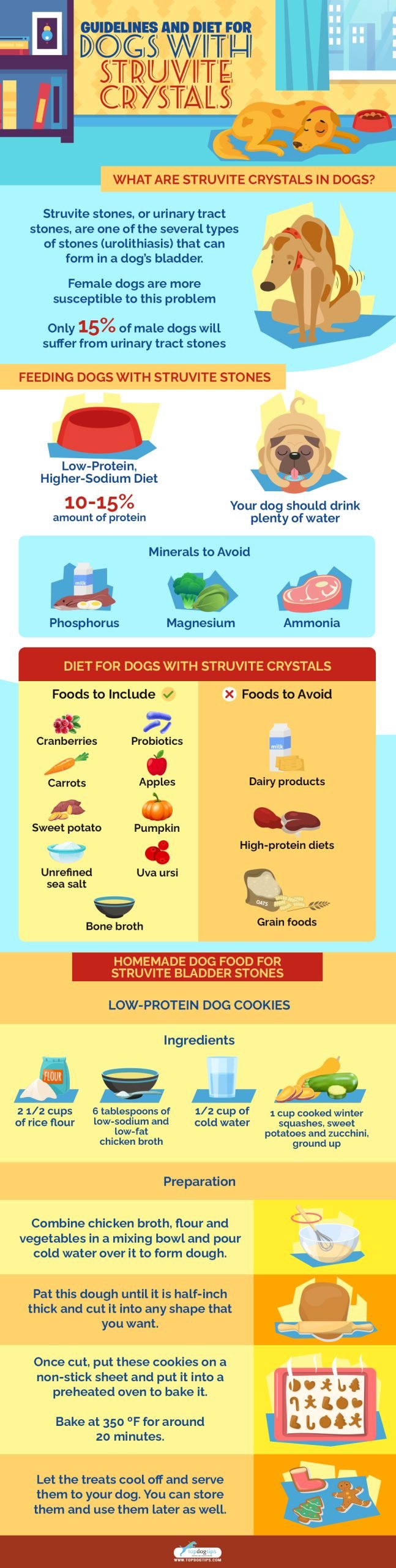 Struvite Crystals In Dogs And Guidelines For a Special Diet Infographic