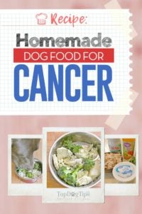 Homemade Dog Food for Cancer Recipe