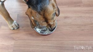 Homemade Dog Food for Struvite Bladder Stones