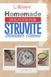 Homemade Dog Food for Struvite Bladder Stones Recipe