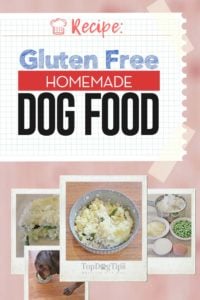 Homemade Gluten Free Dog Food Recipe