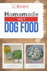 Homemade Wet Dog Food Recipe