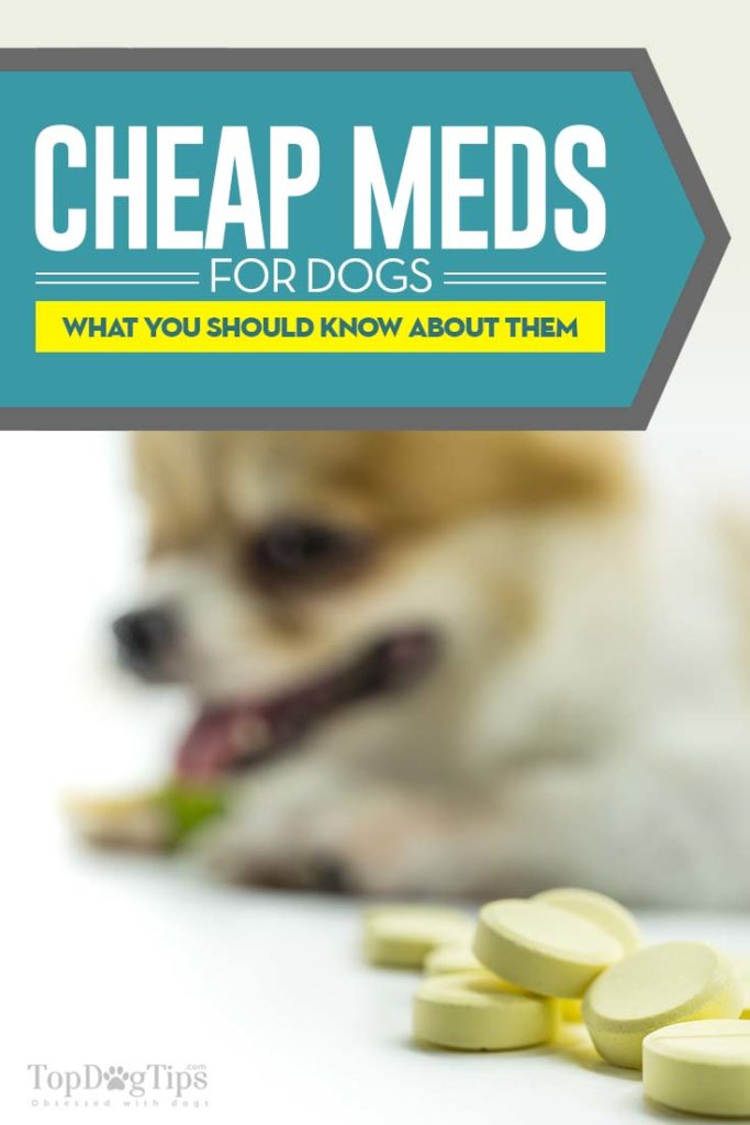 How to Buy Cheap Pet Meds Online