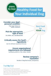 How to Choose Healthy Dog Food Brand