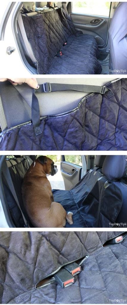 Picking the Best Car Seat Covers for Dogs with dog on car seat cover