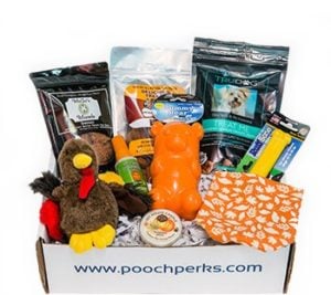 Pooch Perks dog subscription box