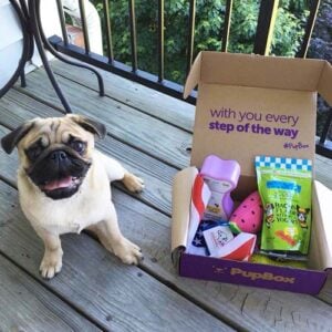 PupBox puppy subscription box