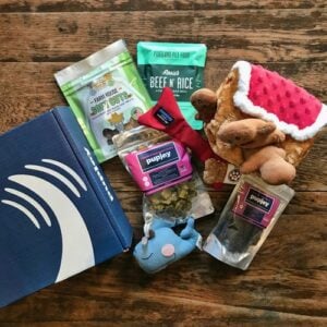 PupJoy Dog Subscription Box