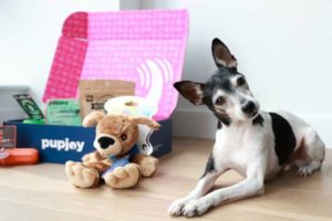 PupJoy Dog Box