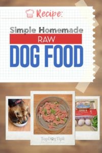 Simple Homemade Raw Dog Food Recipe