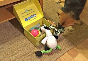 Surprise My Pet Dog Subscription Box Review