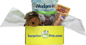 Surprise My Pet Dog Subscription Box Review