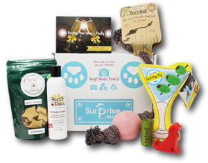 Surprise Pawty dog subscription box