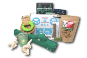 Surprise Pawty dog subscription box