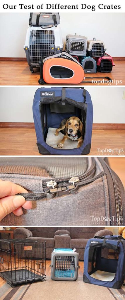 Testing different soft sided dog crates