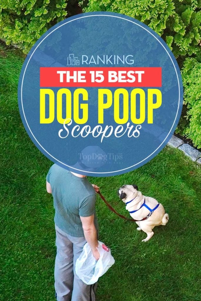 The 15 Rated Best Dog Poop Scoopers