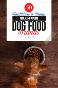 The 50 Best Grain Free Dog Food Brands (from best to worst)