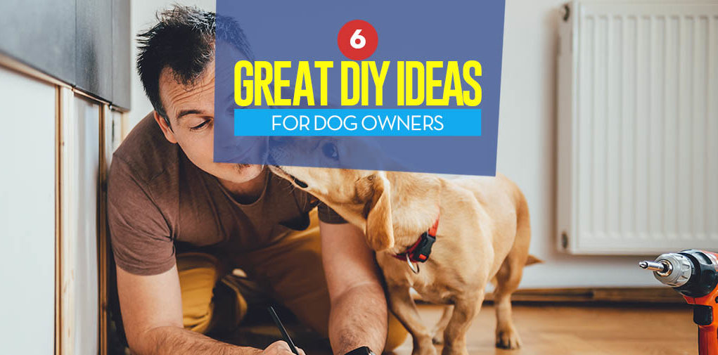 The 6 Best DIY Project Ideas for Dog Owners in 2018