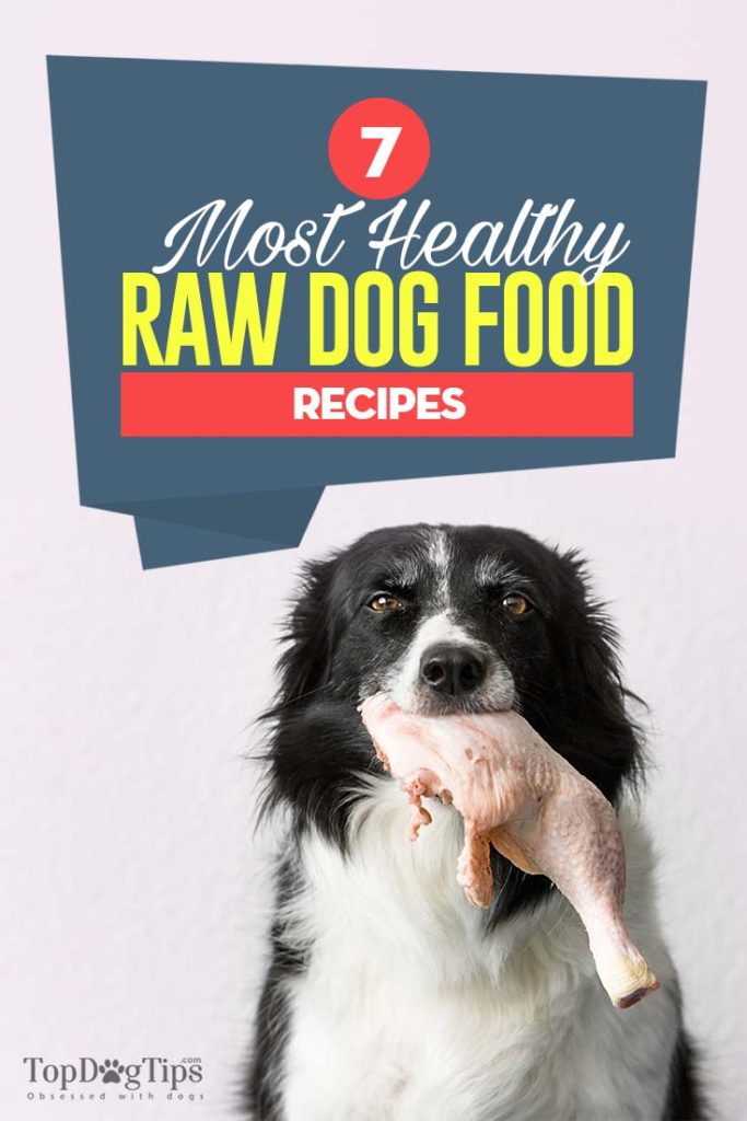 The 7 Best Raw Dog Food Recipes to Try