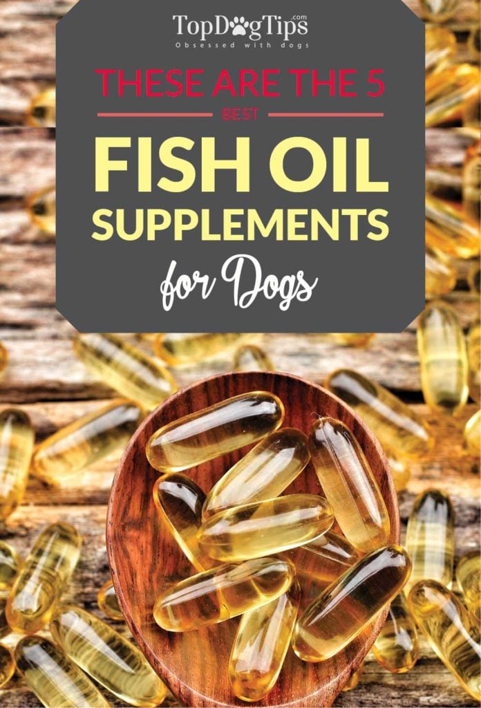 The Best Fish Oil for Dogs Supplements for Health