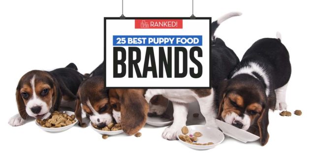 The Best Puppy Food Brands 2018