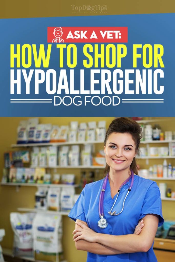 The Veterinarian's Guide on Shopping for Hypoallergenic Dog Foods