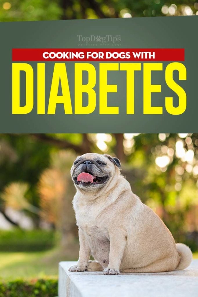 Tips on Diabetic Dog Diet and What to Feed a Diabetic Dog