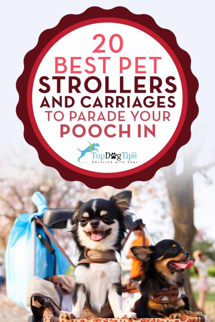 Top 10 Cheap Dog Strollers and Carriages for Pets