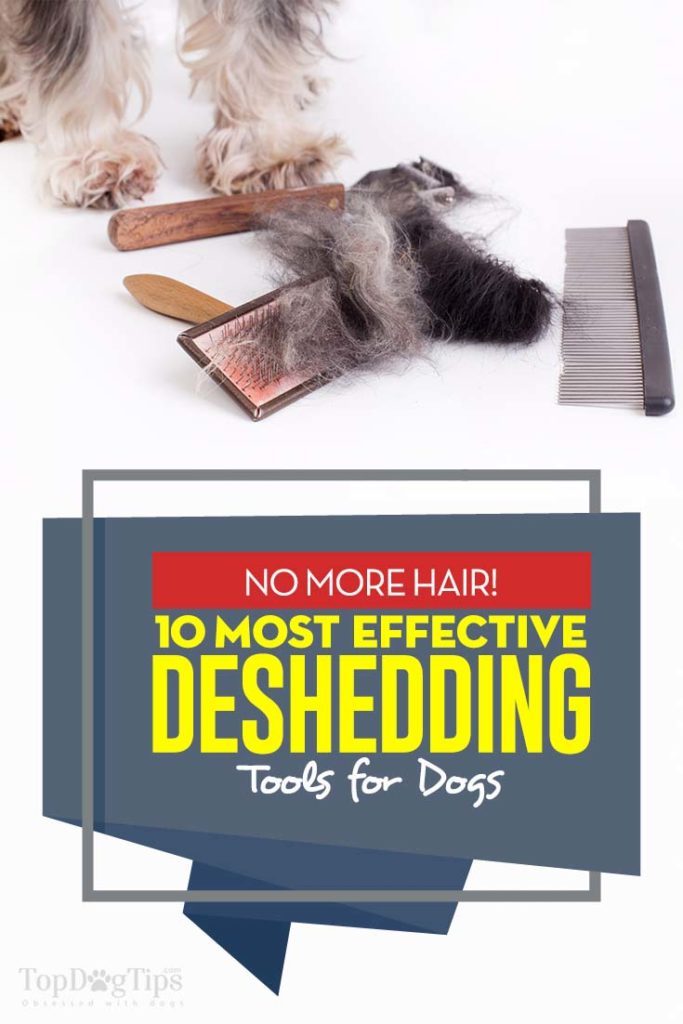 Top 10 Rated Best Deshedding Tools for Dogs