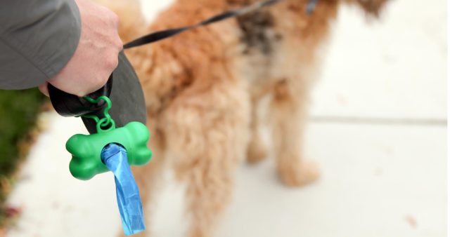 Top 50 Best Dog Poop Bags