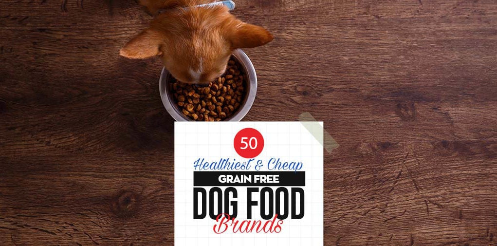 Top 50 Cheap Best Grain Free Dog Food Brands of All Time