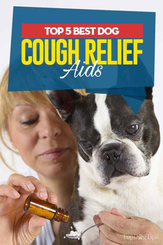 Top Rated Best Dog Cough Relief Aids