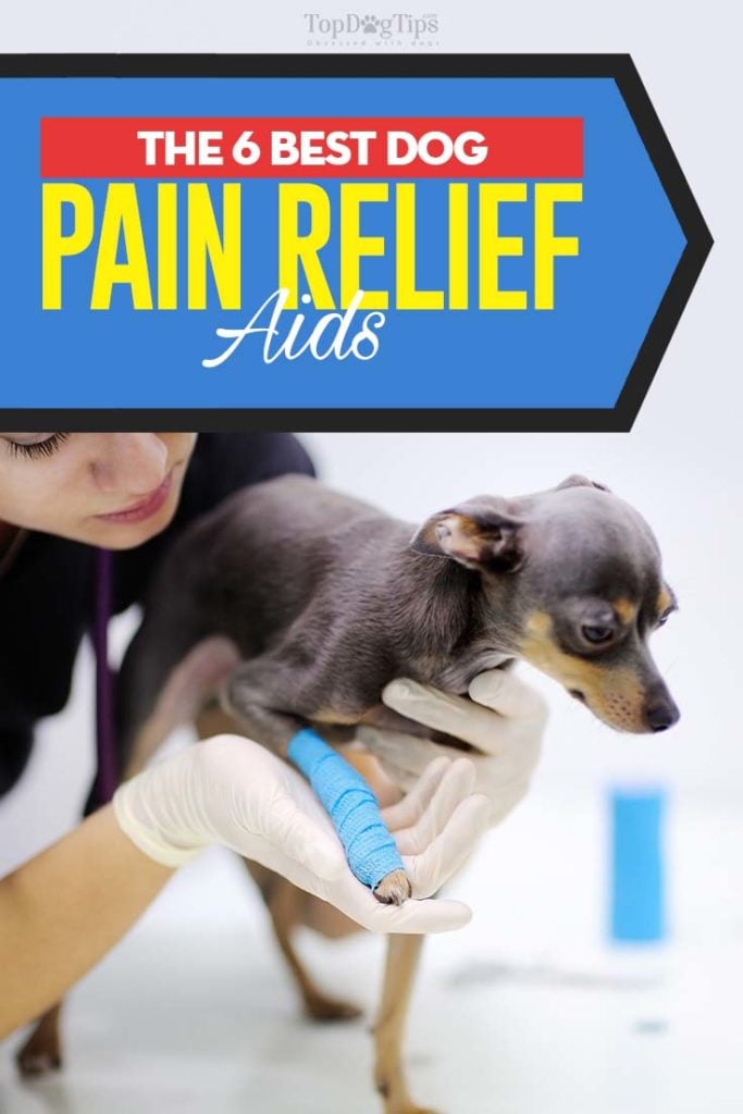 Top Rated Best Dog Pain Relief Aids