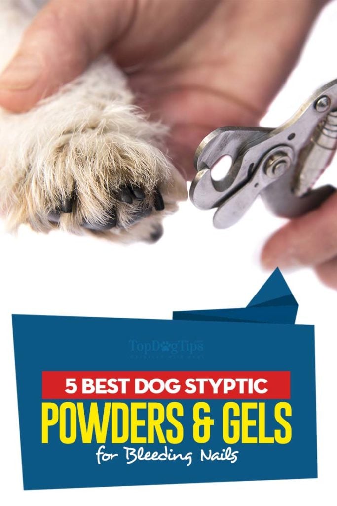 Top Rated Best Dog Styptic Powders