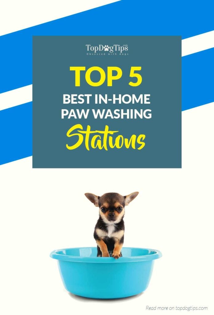 Top Rated Paw Washes for Dogs