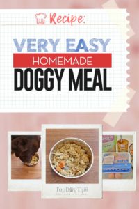 Very Easy Homemade Dog Food Meal Recipe