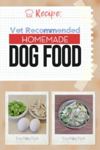 Vet Recommended Homemade Dog Food Recipe