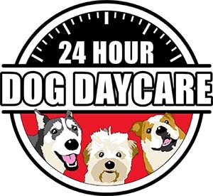 24 Hour Dog Daycare Dog Boarding San Diego