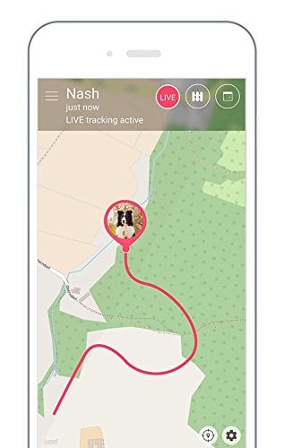 Tractive 3G GPS Pet Tracker