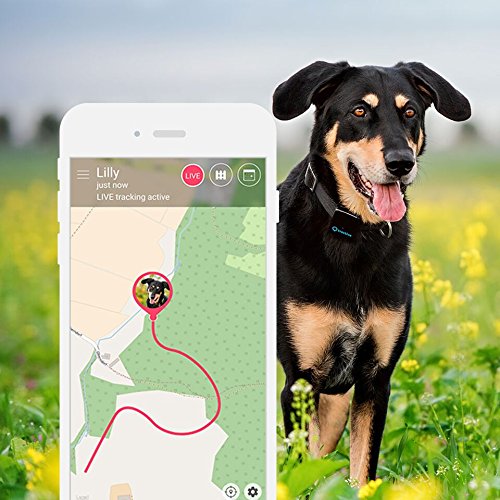 Tractive 3G GPS Pet Tracker