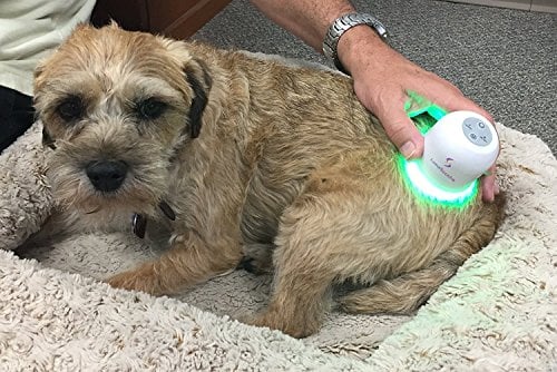 LumaSoothe Light Therapy for Pets