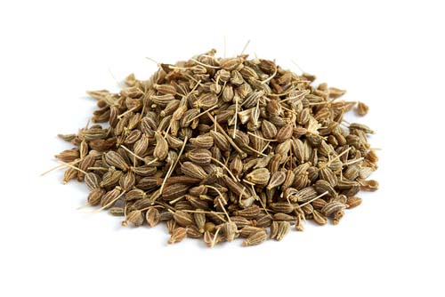 Anise for Dogs