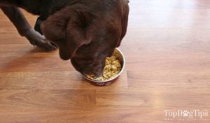 Boil the water in a medium-sized saucepan. Add the coconut oil and let it melt. Add the chicken, rice and oatmeal. Cook on medium heat for 20 minutes.