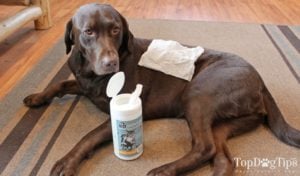 Groom Genie Natural Pet Towelettes Review