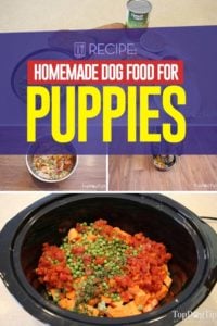 Homemade Dog Food for Puppies Recipe