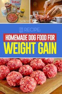 Homemade Dog Food for Weight Gain Recipe