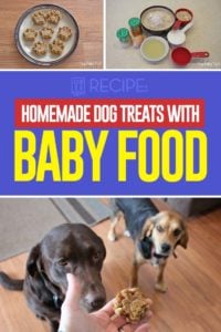 Homemade Dog Treats with Baby Food Recipe