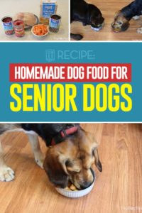 Homemade Food for Senior Dogs Recipe